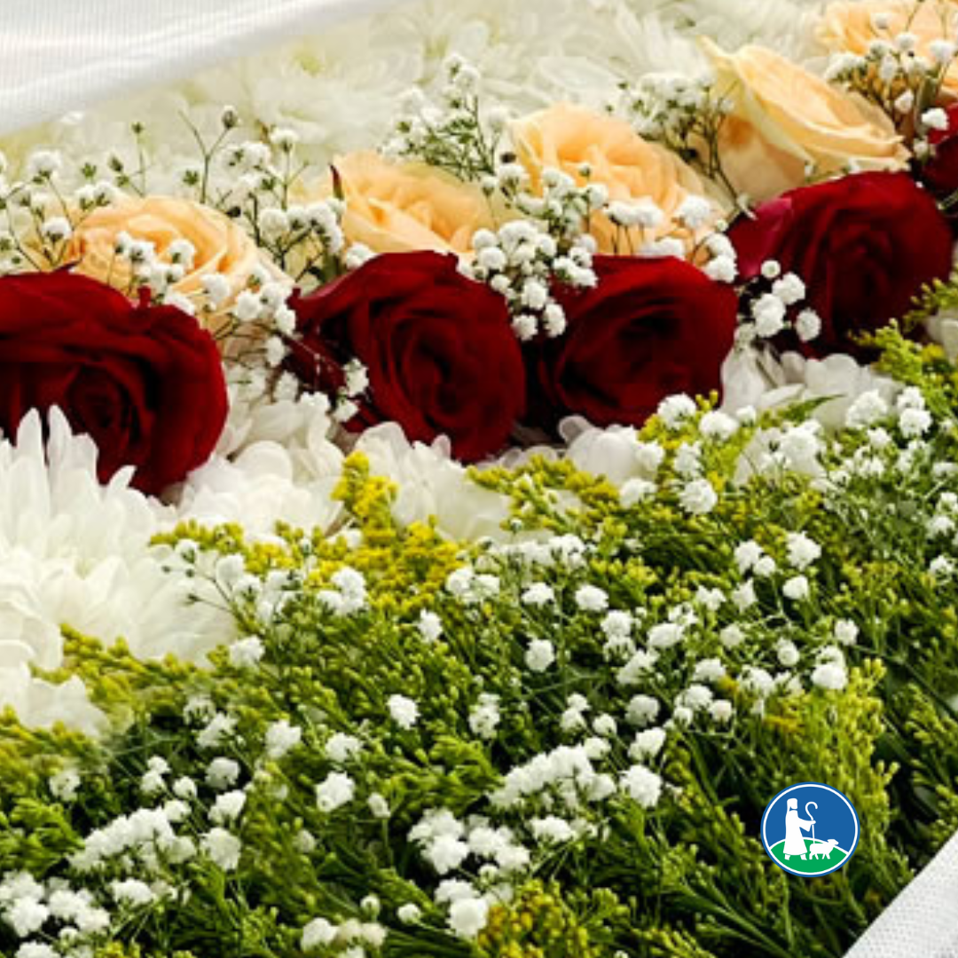 Translado Funerário Brasil