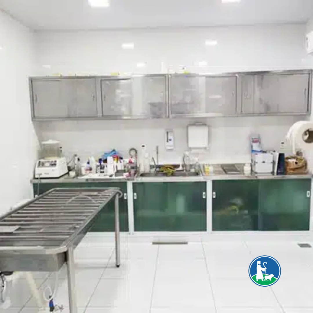 Translado Funerário Brasil